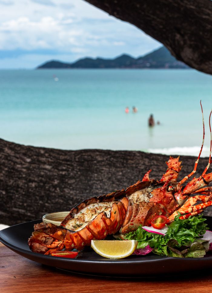 gallery-3 Delicious grilled lobster served with lemon on a beach setting, capturing the essence of a summer vacation meal.