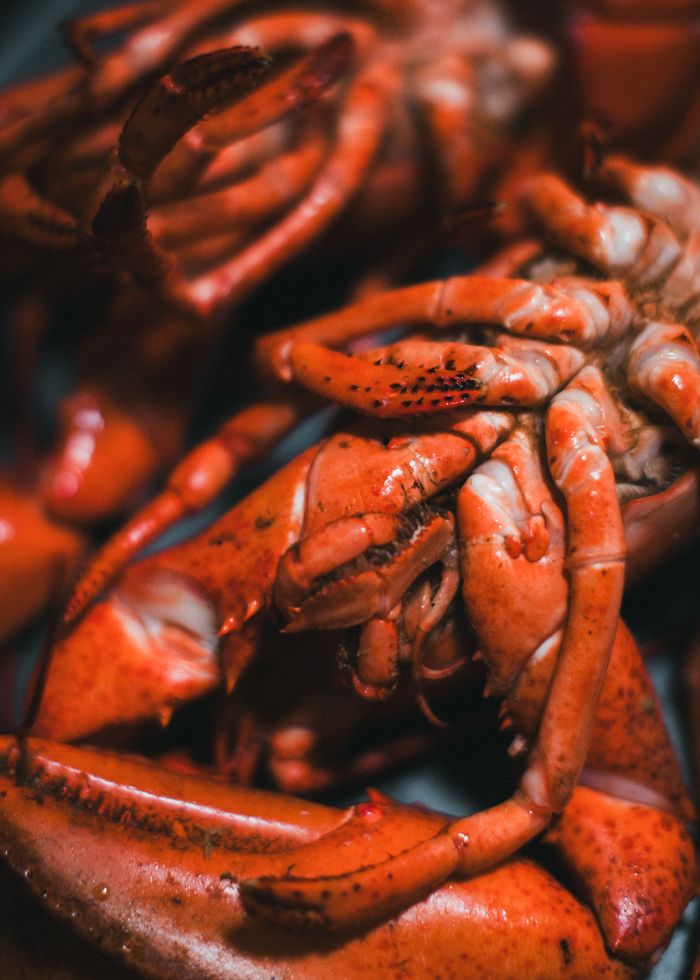 gallery-6 Deliciously cooked lobster on plate with focus on texture and color.