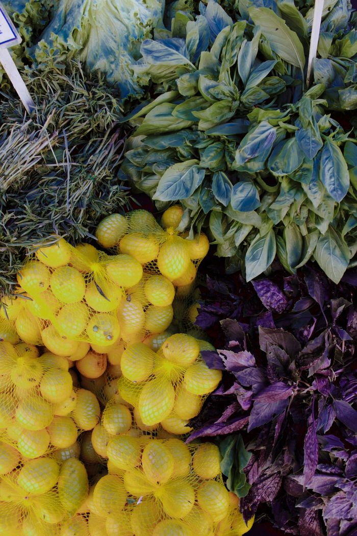 hero-img-01 A vibrant mix of fresh lemons, basil, and herbs in mesh bags at an outdoor market.